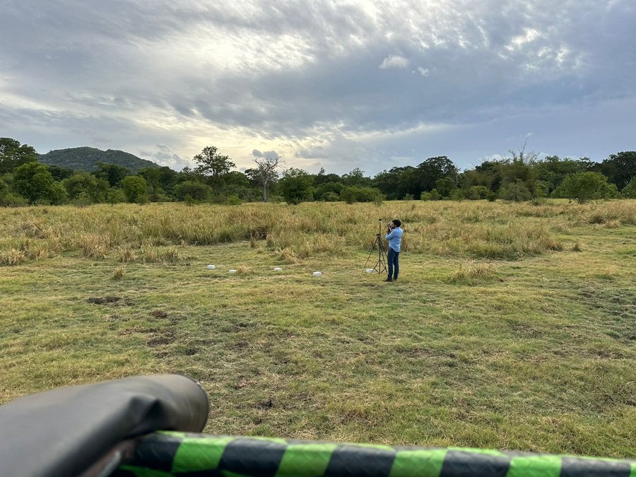 Human and wildlife coexistence